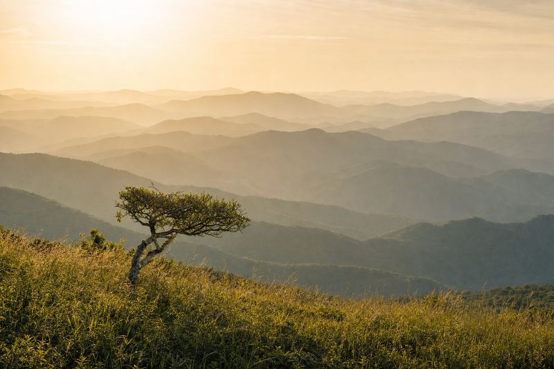 Layered Georgia ridges fading into morning light